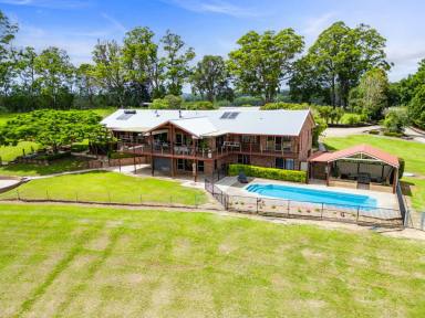 Farm For Sale - NSW - Congarinni - 2447 - Exceptional Rural Riverfront Lifestyle Property  (Image 2)