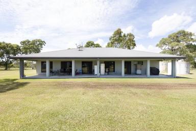 Farm For Sale - QLD - Ilbilbie - 4738 - EVERYTHING YOU WANT  (Image 2)