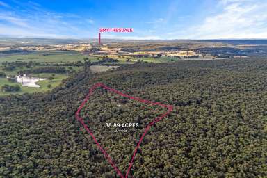 Farm For Sale - VIC - Piggoreet - 3351 - Enjoy the country life, 30 minutes from Ballarat CBD approx  (Image 2)