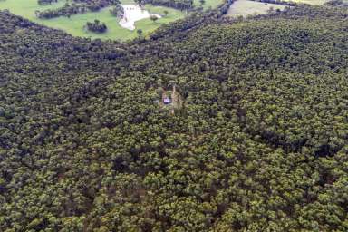 Farm For Sale - VIC - Piggoreet - 3351 - Enjoy the country life, 30 minutes from Ballarat CBD approx  (Image 2)