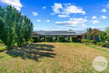 Farm For Sale - NSW - Coolamon - 2701 - Ultimate Peace And Privacy  (Image 2)