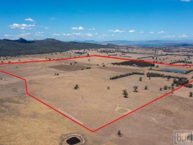 Farm For Sale - NSW - Gerogery - 2642 - "Round Hill"  (Image 2)