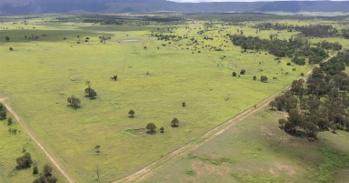Farm Auction - QLD - COMET - 4702 - HIGHLY DEVELOPED FIRST CLASS SCRUB COUNTRY. LIVESTOCK & PLANT TO BE OFFERED IN WIWO  (Image 2)