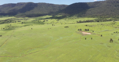 Farm Auction - QLD - COMET - 4702 - HIGHLY DEVELOPED FIRST CLASS SCRUB COUNTRY. LIVESTOCK & PLANT TO BE OFFERED IN WIWO  (Image 2)