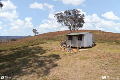 Farm For Sale - NSW - Sofala - 2795 - 'SALT HILL'  (Image 2)