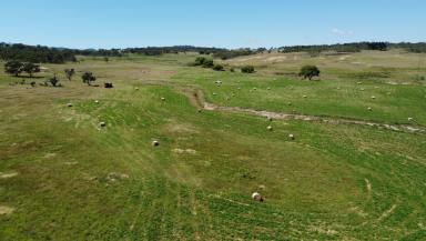 Farm For Sale - NSW - Chakola - 2630 - The Essence of Rural Living  (Image 2)