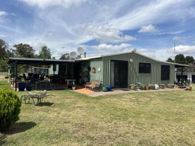 Farm For Sale - NSW - Shannon Vale - 2370 - Looking for Space & Lifestyle?  (Image 2)