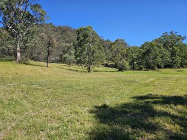 Farm For Sale - nsw - Scone - 2337 - 32 Acres with Dwelling Entitlement  (Image 2)