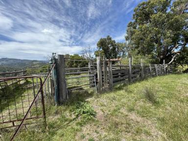 Farm For Sale - nsw - Stewarts Brook - 2337 - 1035 Hecatres of Quality Grazing Country  (Image 2)
