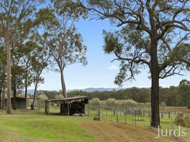 Farm Sold - NSW - North Rothbury - 2335 - WINE COUNTRY PLAYGROUND  (Image 2)