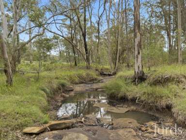 Farm Sold - NSW - North Rothbury - 2335 - WINE COUNTRY PLAYGROUND  (Image 2)