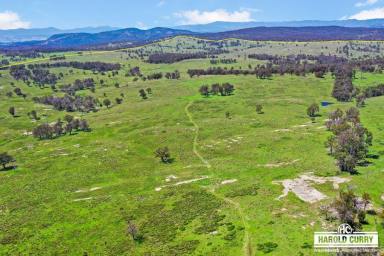 Farm Auction - NSW - Tenterfield - 2372 - 'Hamiltons' - Tenterfield High Country  (Image 2)