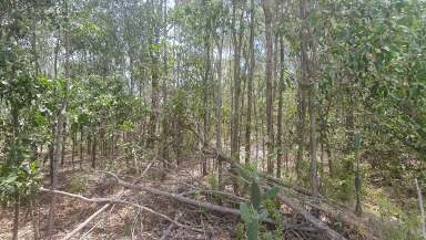 Farm Sold - QLD - Tarong - 4615 - 5.4-acre natural bushland property.  (Image 2)