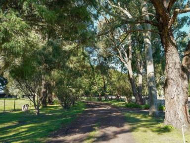 Farm For Sale - VIC - Nareen - 3315 - BEAUTIFUL LIFESTYLE PROPERTY WITH 2 DWELLINGS SET ON 9 ACRES  (Image 2)
