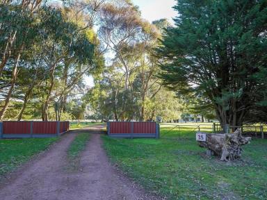 Farm For Sale - VIC - Nareen - 3315 - BEAUTIFUL LIFESTYLE PROPERTY WITH 2 DWELLINGS SET ON 9 ACRES  (Image 2)