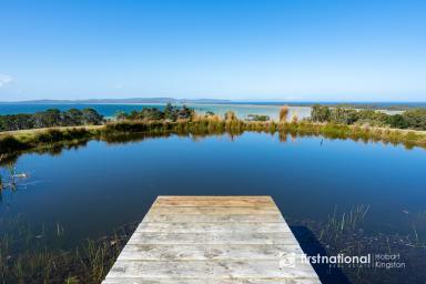 Farm For Sale - TAS - Simpsons Bay - 7150 - Coastal Estate with Expansive Ocean & Bay Views!  (Image 2)