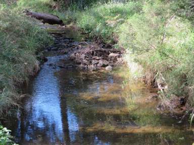 Farm Sold - NSW - Busbys Flat - 2469 - HIDDEN VALLEY  (Image 2)