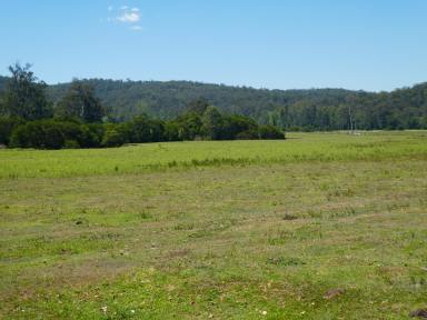 Farm For Sale - NSW - Busbys Flat - 2469 - A VISION FOR YOUR LIFE  (Image 2)