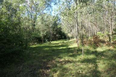 Farm Sold - NSW - Busbys Flat - 2469 - HIDDEN VALLEY  (Image 2)