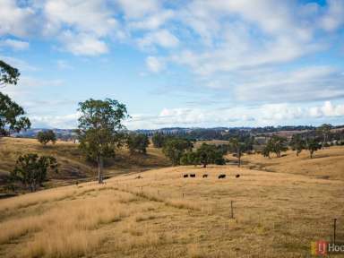 Farm Sold - NSW - Candelo - 2550 - "STRATHILA PARK" CANDELO - 360 ACRES  (Image 2)