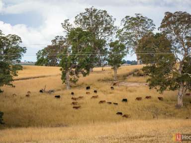 Farm Sold - NSW - Candelo - 2550 - "STRATHILA PARK" CANDELO - 360 ACRES  (Image 2)