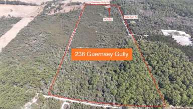 Farm Sold - WA - Northcliffe - 6262 - Forrest wildlife lifestyle block, sanctuary with winter creek  (Image 2)