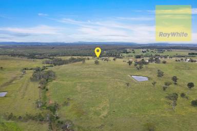 Farm Sold - NSW - Goulburn - 2580 - Great Country, Expansive Views!  (Image 2)