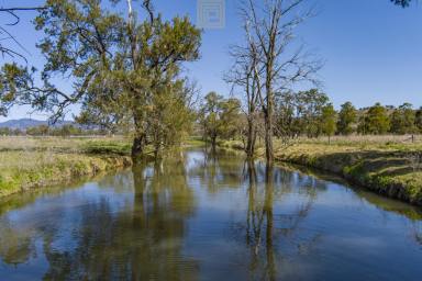 Farm For Sale - NSW - Willow Tree - 2339 - ELEGANT HOMESTEAD ON 182 HECTARES  (Image 2)
