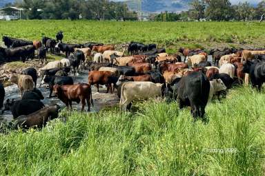 Farm Sold - NSW - Willow Tree - 2339 - CROPPING TRIFECTA - SOIL, TOPOGRAPHY & CLIMATE  (Image 2)