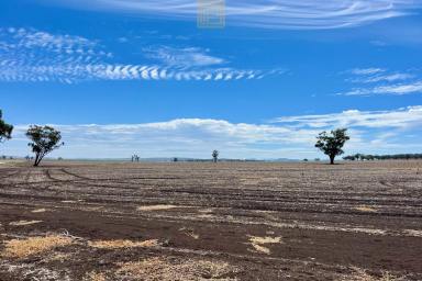 Farm For Sale - NSW - Willow Tree - 2339 - RELIABILITY & SCOPE IN THE PERFECT LOCATION  (Image 2)