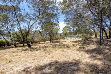Farm For Sale - TAS - Orford - 7190 - ‘Brookes Estate at Orford’ - a developer's dream  (Image 2)