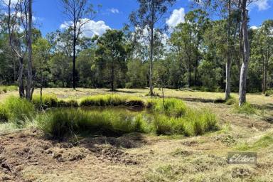 Farm For Sale - QLD - Glenwood - 4570 - NOT MANY LEFT LIKE THIS ONE!  (Image 2)