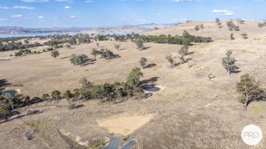 Farm Sold - NSW - Wirlinga - 2640 - WIRLINGA LIFESTYLE RETREAT - LAKE HUME VIEWS  (Image 2)