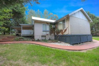 Farm For Sale - NSW - Lyndhurst - 2797 - BEAUTIFUL LIFESYLE PROPERTY WITH CHARMING 3BR HOME SET ON 3.5 ACRES  (Image 2)