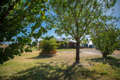 Farm For Sale - VIC - Neilborough - 3570 - Secluded Rural Paradise  (Image 2)