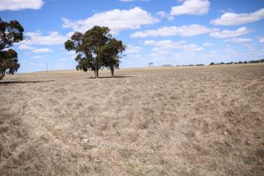 Farm For Sale - SA - Naracoorte - 5271 - FAIRHOLME - Reliable and Versatile  (Image 2)