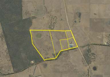 Farm For Sale - SA - Naracoorte - 5271 - FAIRHOLME - Reliable and Versatile  (Image 2)