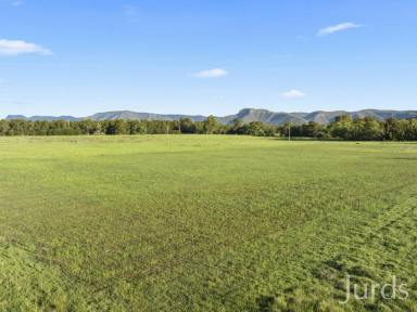 Farm For Sale - NSW - Broke - 2330 - HUNTER VALLEY VINEYARD AND GRAZING PROPERTY  (Image 2)