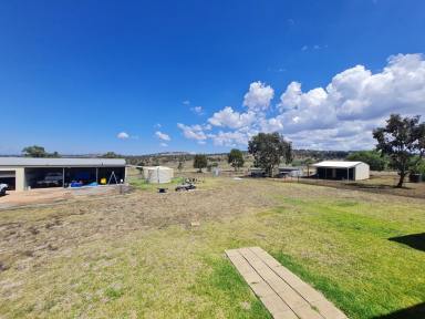 Farm For Sale - nsw - Cassilis - 2329 - Ideal Rural Lifestyle  (Image 2)