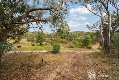 Farm For Sale - NSW - Mudgee - 2850 - WEEKEND RETREAT WITH DWELLING ENTITLEMENT  (Image 2)