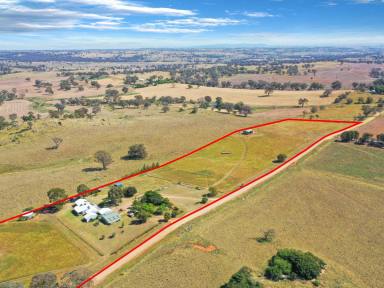 Farm For Sale - NSW - Young - 2594 - (Open Home This  Saturday At 10am)  Architecturally Designed  Home on Acreage Only 7 Minutes* To Town  (Image 2)