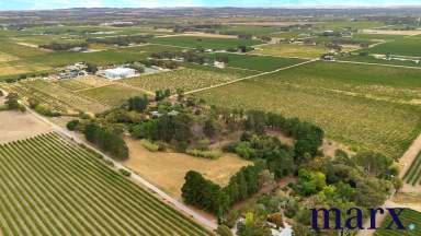 Farm For Sale - SA - Vine Vale - 5352 - Hidden Gem  (Image 2)