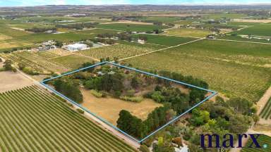 Farm For Sale - SA - Vine Vale - 5352 - Hidden Gem  (Image 2)