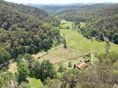 Farm Sold - NSW - Fernances Crossing - 2325 - Modern Country Home on 5 Picturesque Acres  (Image 2)