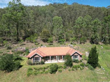 Farm Sold - NSW - Fernances Crossing - 2325 - Modern Country Home on 5 Picturesque Acres  (Image 2)