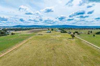 Farm For Sale - NSW - Cowra - 2794 - First Class 6,000HD lamb feedlot Cowra (JUST REDUCED BY $100,000!)  (Image 2)