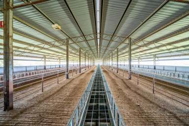 Farm For Sale - NSW - Cowra - 2794 - First Class 6,000HD lamb + Cattle feedlot, Cowra  (Image 2)