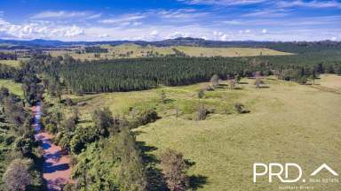 Farm Sold - NSW - Edenville - 2474 - 44 Creekside Acres  (Image 2)