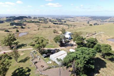 Farm For Sale - VIC - Mount Eccles - 3953 - 'CANAVANS RUN' Mt Eccles – South Gippsland 

Superb Cattle/Sheep/Fattening/Breeding Property  (Image 2)
