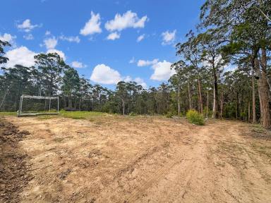 Farm Sold - NSW - Cedar Creek - 2325 - Huge Bush Land Oasis for the Adventurous  (Image 2)